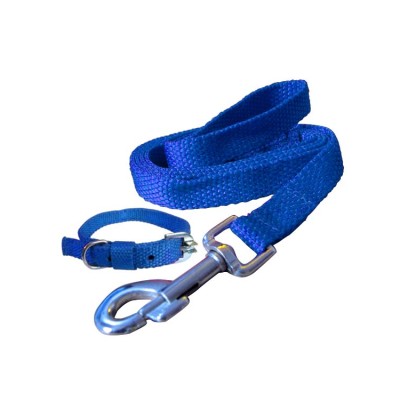 Fekrix Premium Blue Nylon Lease With Collar 0.75 Inch